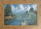 Texas Bluebonnets