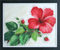 Hibiscus