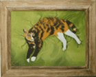 Sumomo- The Calico Cat